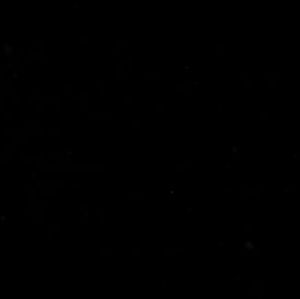 Meet your Posher, Chong